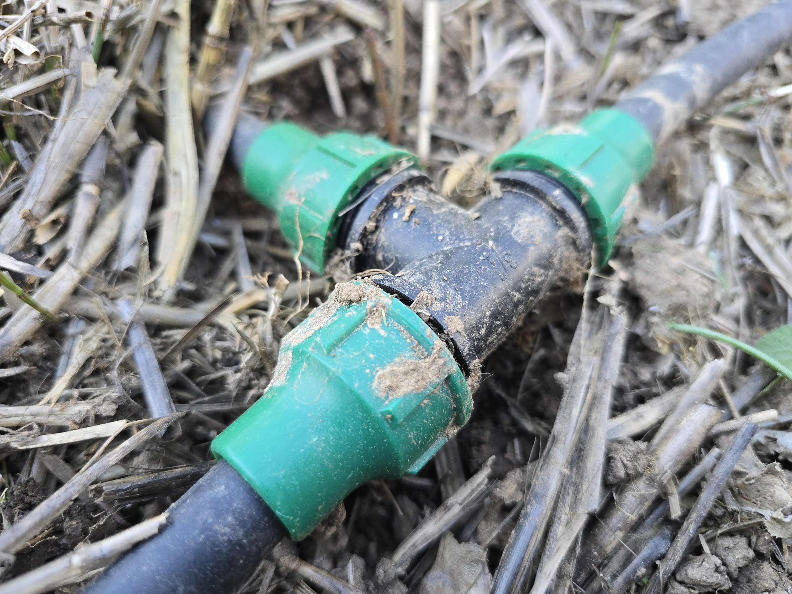 Raccords et goutteurs d'un système d'arrosage goutte à goutte Geolia dans le potager