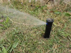 Arrosage automatique pelouse avec arroseurs escamotables dans un jardin du Sud — programmateur Solem BL-IP
