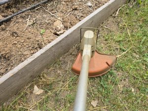 Coupe-bordure sur batterie STIHL FSA 57 en finition de pelouse — bordure de potager nette dans un jardin du Sud