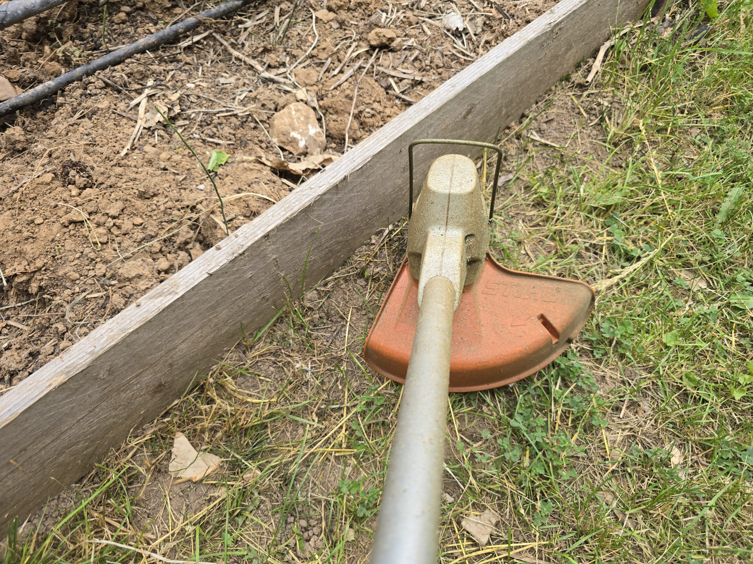 Coupe-bordure sur batterie STIHL FSA 57 en finition de pelouse — bordure de potager nette dans un jardin du Sud