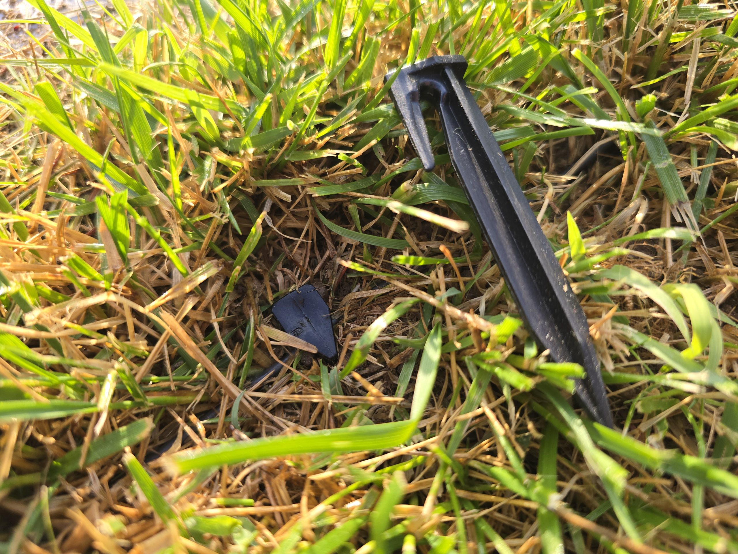 Fil périmétrique de robot tondeuse fixé au sol par cavaliers d'ancrage