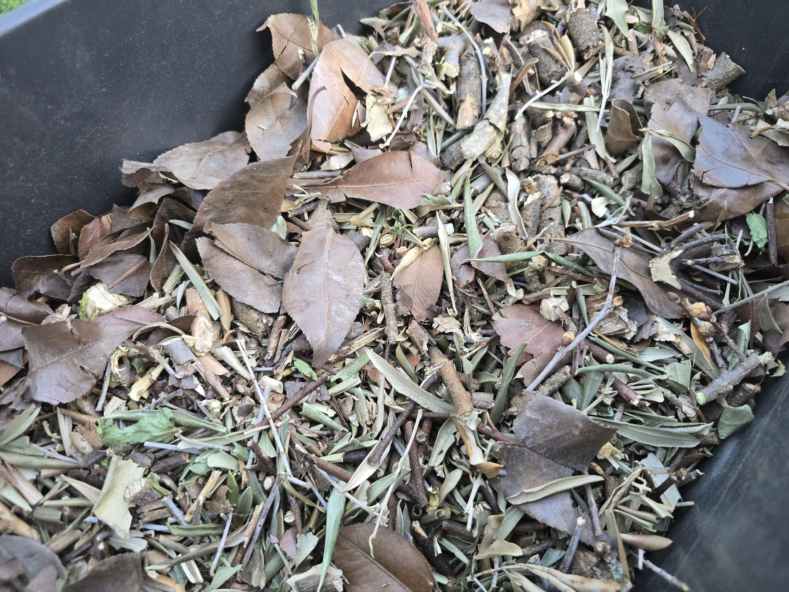 Broyat de branches recyclé qui sera recyclé en paillage sur les massifs — circuit court au jardin méditerranéen