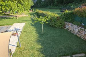 Pelouse en été dans un jardin méditerranéen à Auriol, Bouches-du-Rhône