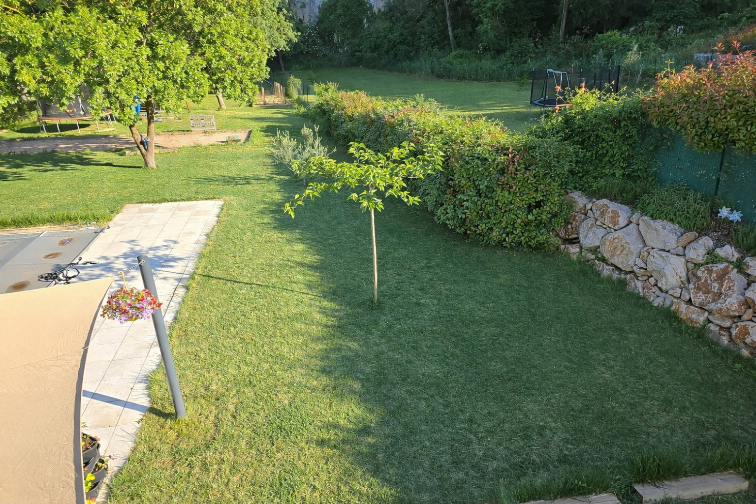 Pelouse en été dans un jardin méditerranéen à Auriol, Bouches-du-Rhône