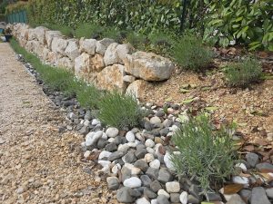 Jardin sec méditerranéen à Auriol avec des pieds de lavande sur sol argilo-calcaire