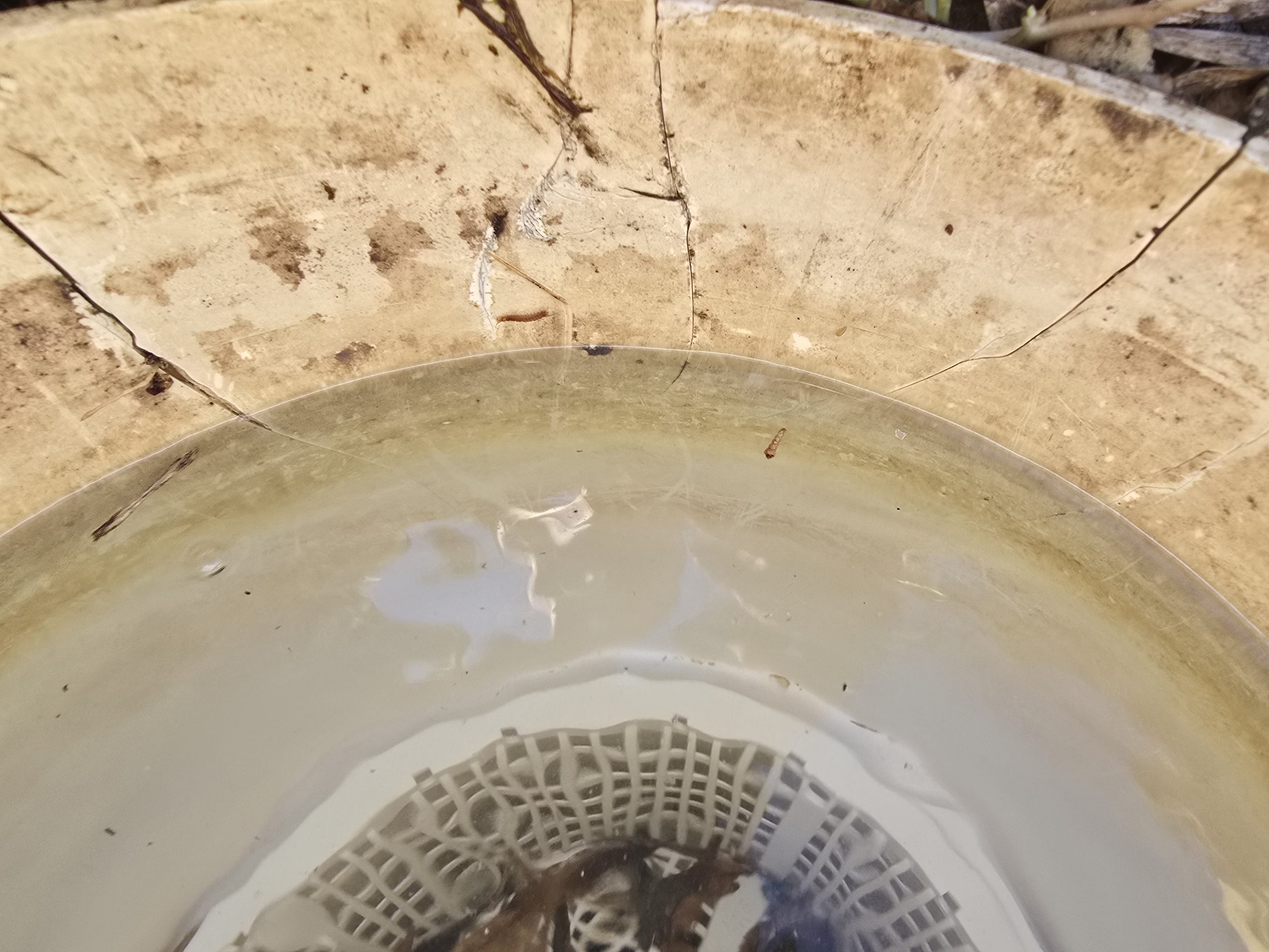 Fissure sur le corps d'un skimmer de piscine