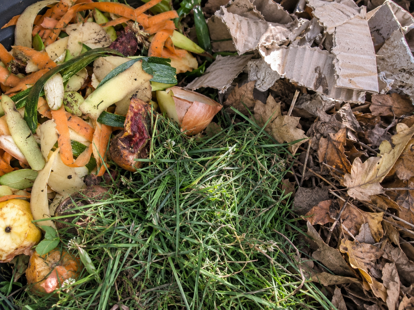 Mélange de déchets verts et de déchets bruns prêts pour le compost