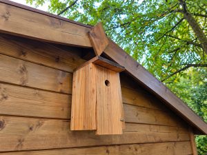 Nichoir à mésange fixé sur un abri de jardin en bois