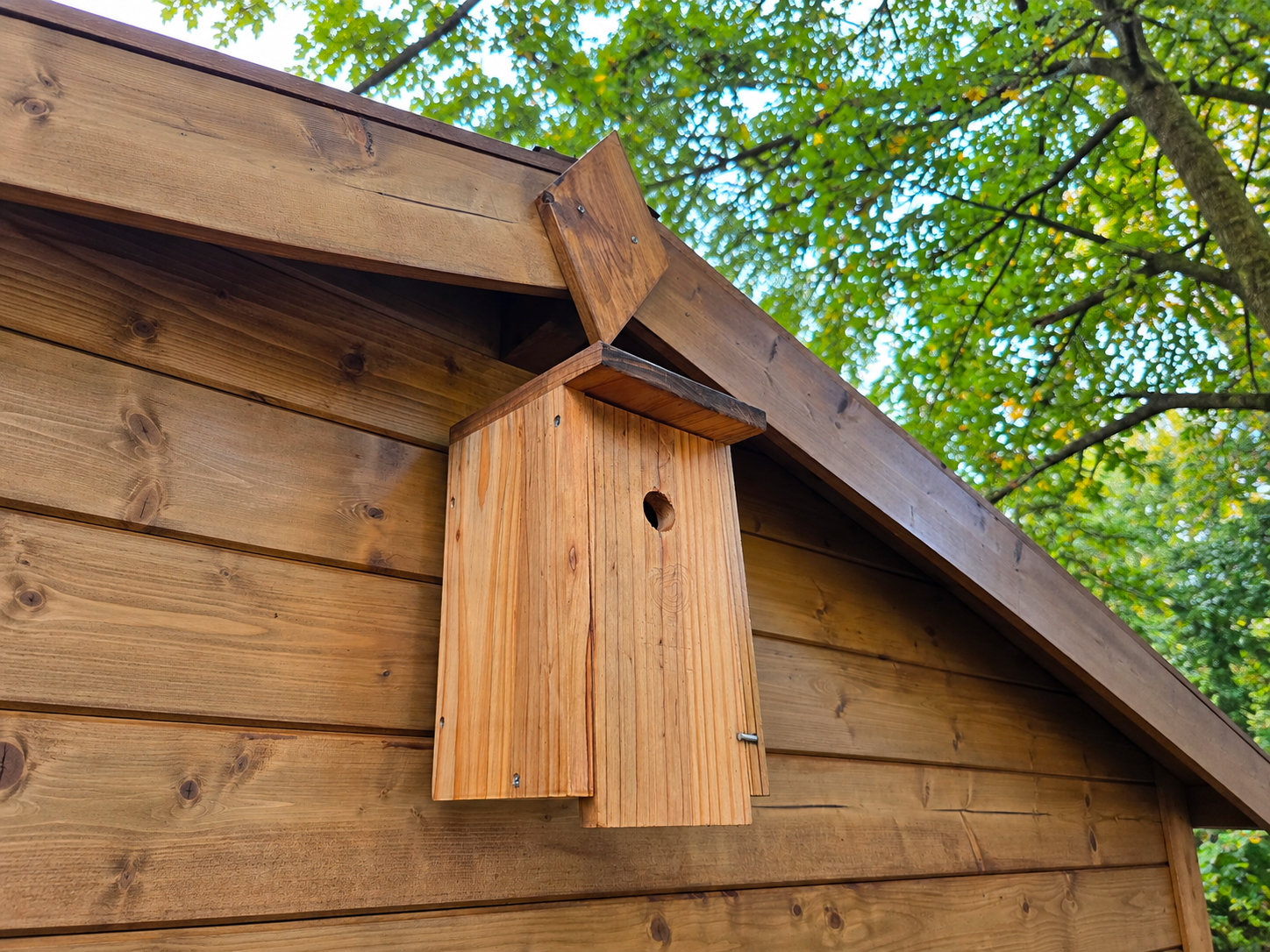 Nichoir à mésange fixé sur un abri de jardin en bois
