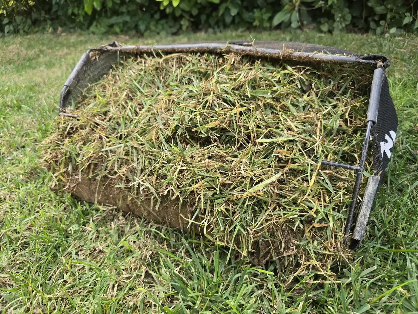 Bac collecteur rempli de feutre arraché après scarification d’une pelouse de 200m²